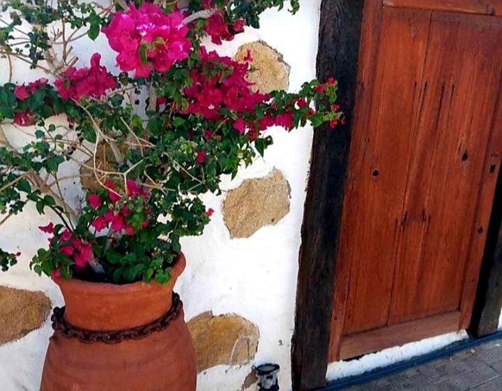 Casa Rural Alessia With Jacuzzi ,Garden & Swimming Pool Σάντα Κρουζ Τενερίφης Εξωτερικό φωτογραφία